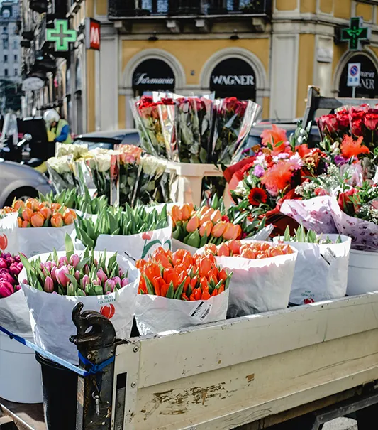 Web Development For Ecommerce