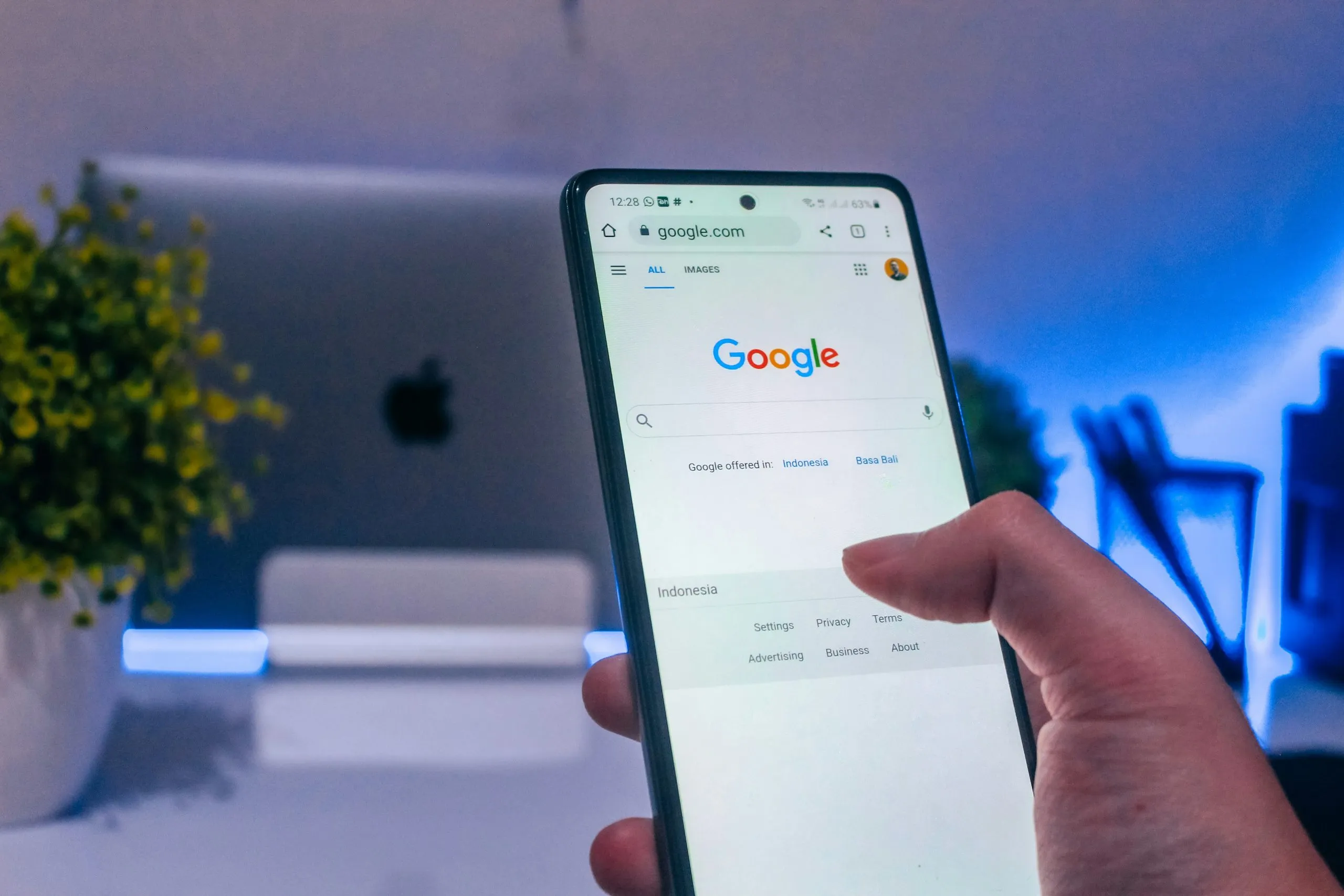 Performance, SEO & Accessibility